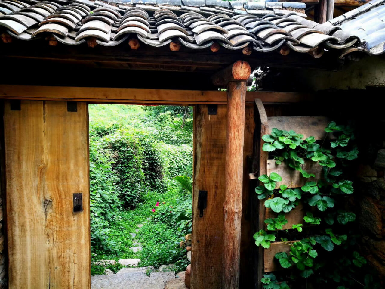 大理茶馬古道團(tuán)建鳳陽邑古村落