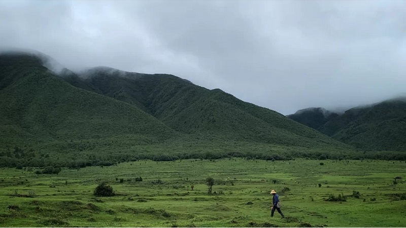 大理研學旅行