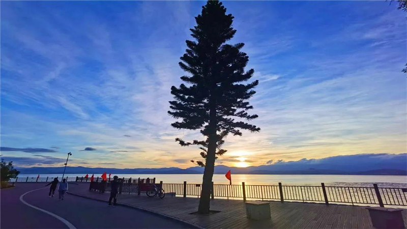 大理濃烈的夏日味道，都藏在洱海生態(tài)廊道