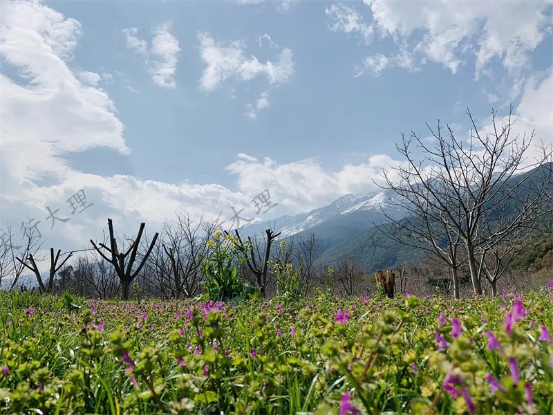 大理小重山鹿鳴山莊戶外基地