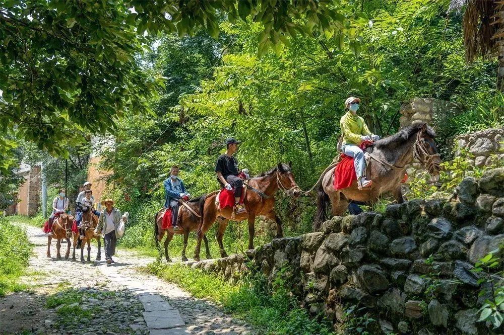 大理鳳陽(yáng)邑茶馬古道