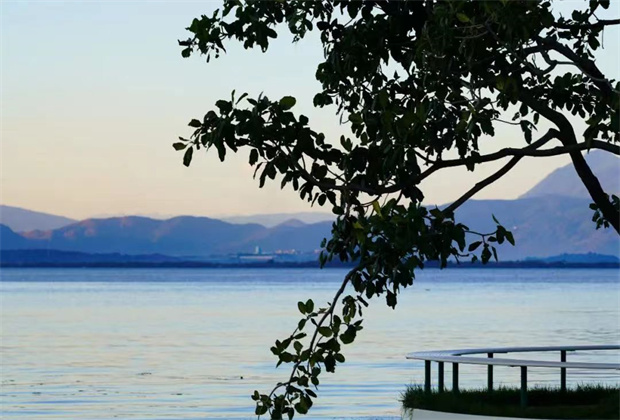 大理策劃公司:海舌，洱海邊的“寶藏公園”